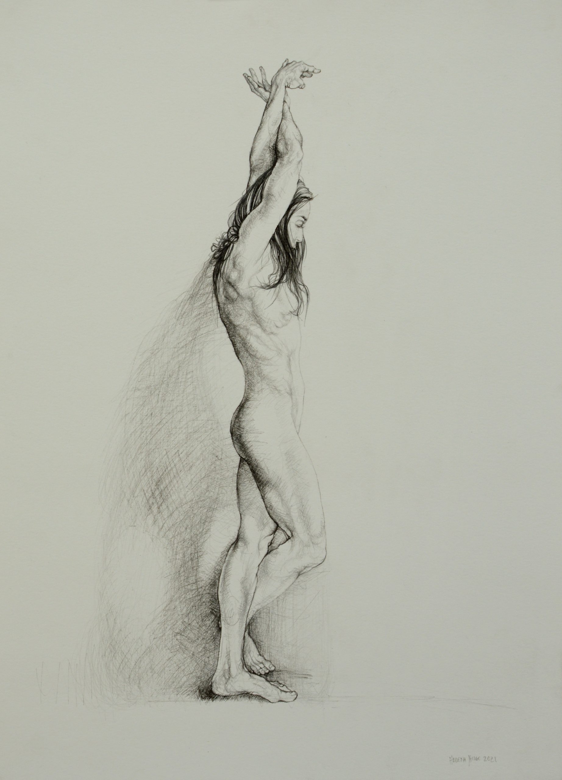 Pose as a Windswept Tree I, 42cm x 30cm, woodless charcoal on paper