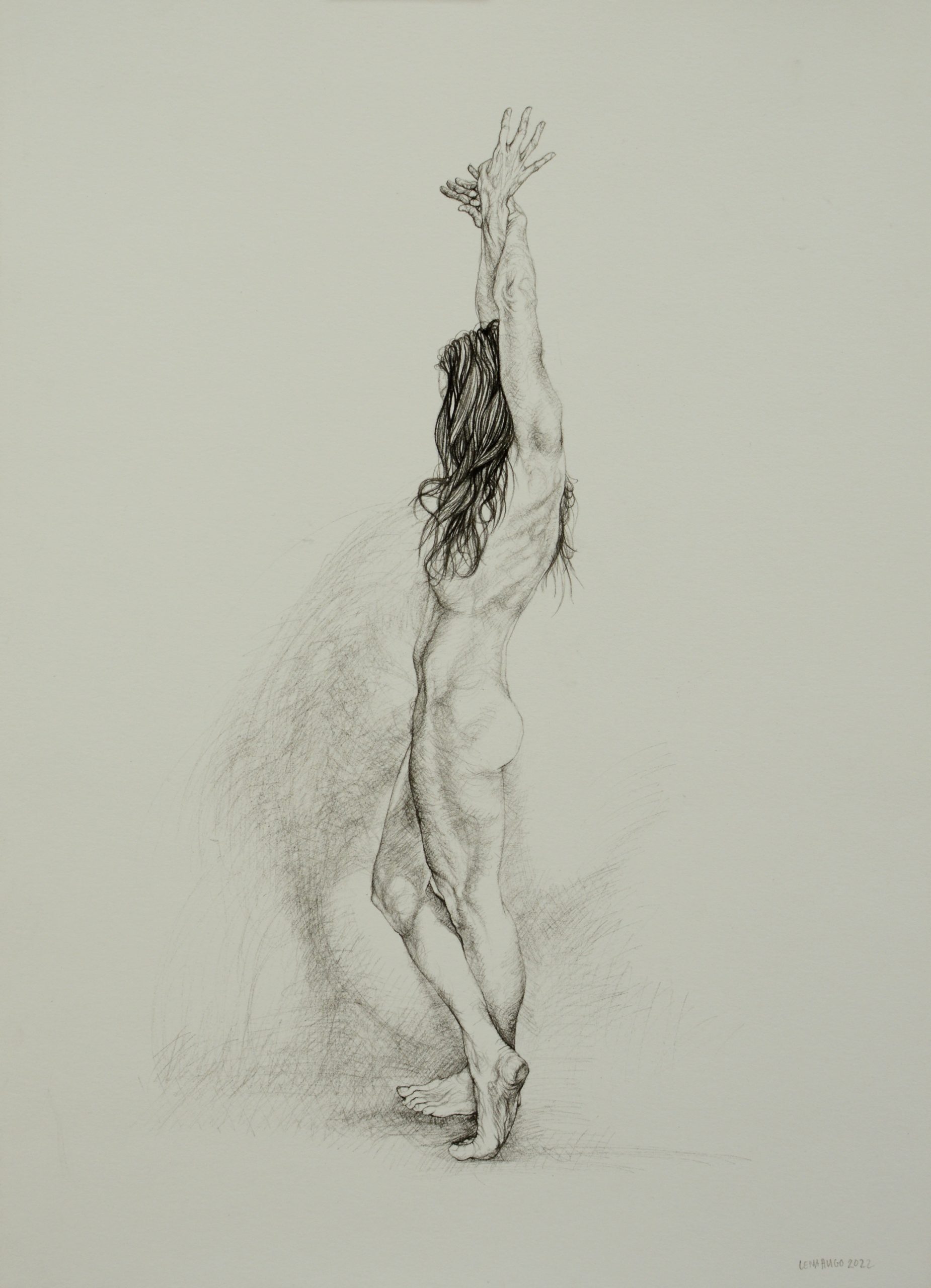 Pose as a Windswept Tree V, 42cm x 30cm, woodless charcoal on paper