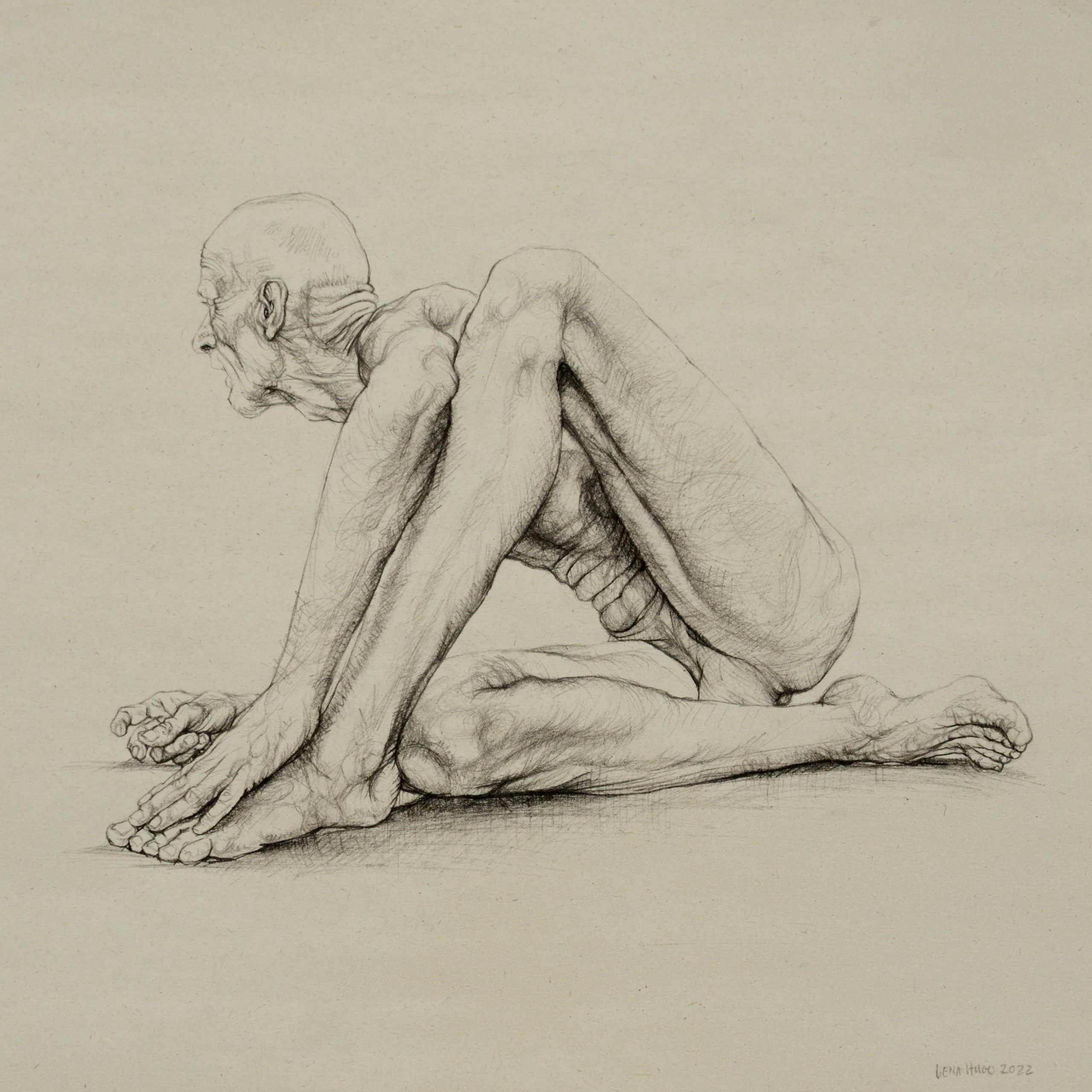 Pose as a Bird III, 30cm x30cm, woodless charcoal on paper