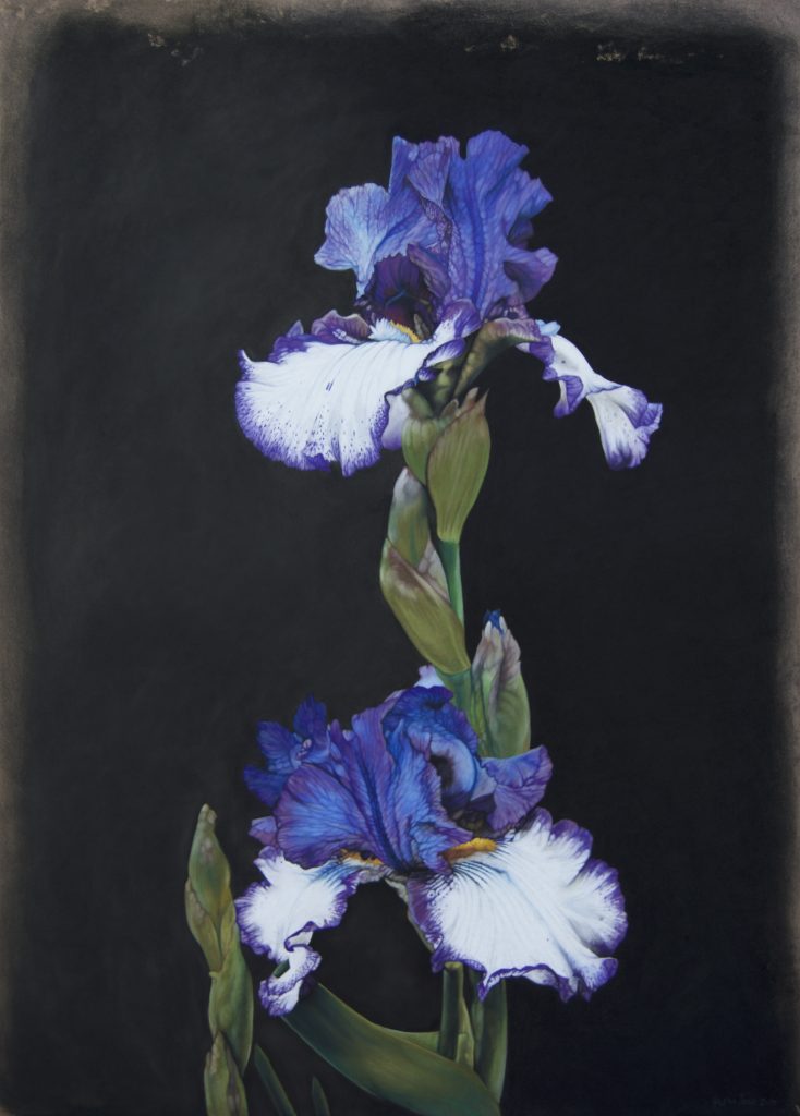 Poisonous II, 80cm x 60cm, pastel on board
