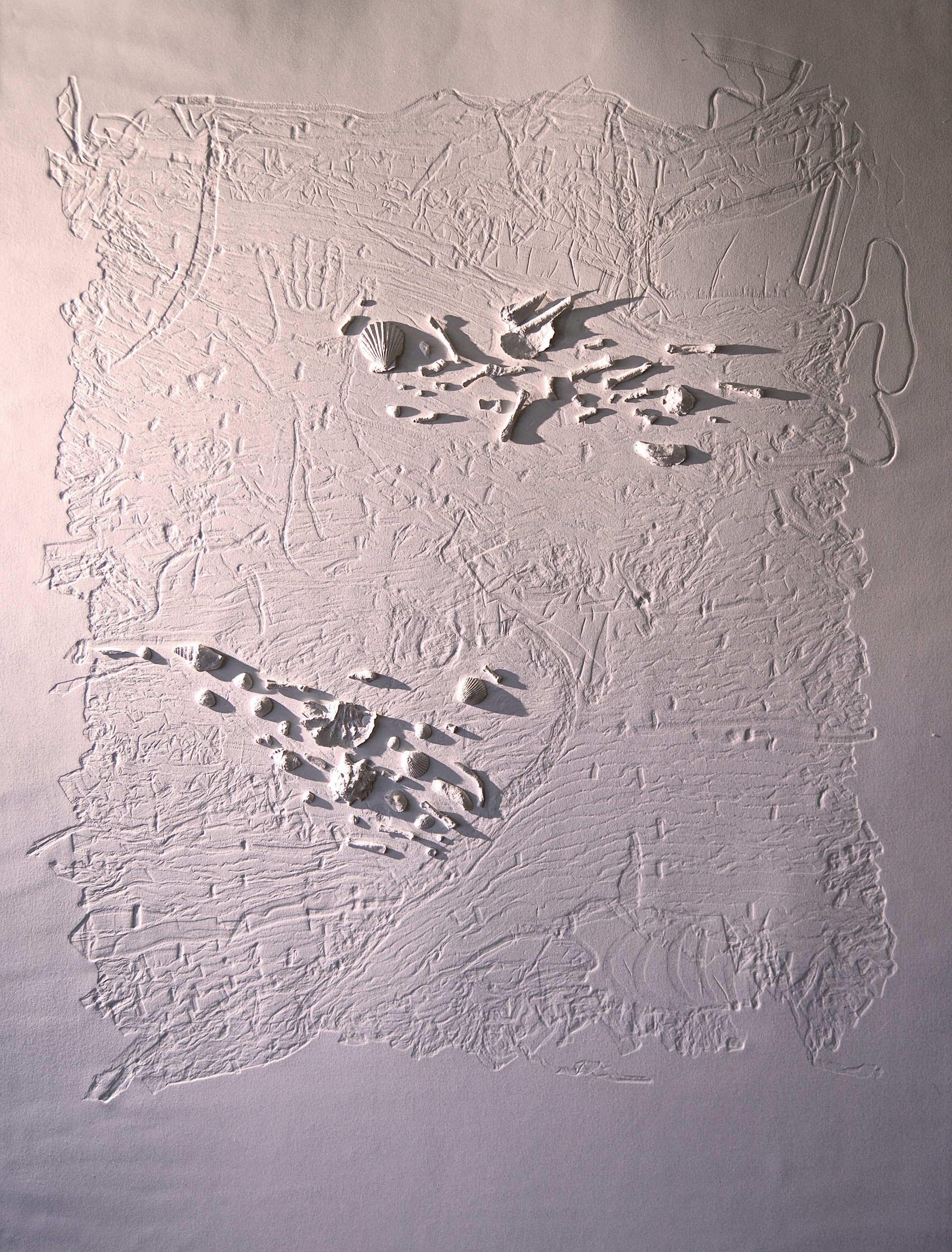 Land Memory II
110cm x 160cm
Embossing and paper sculptures