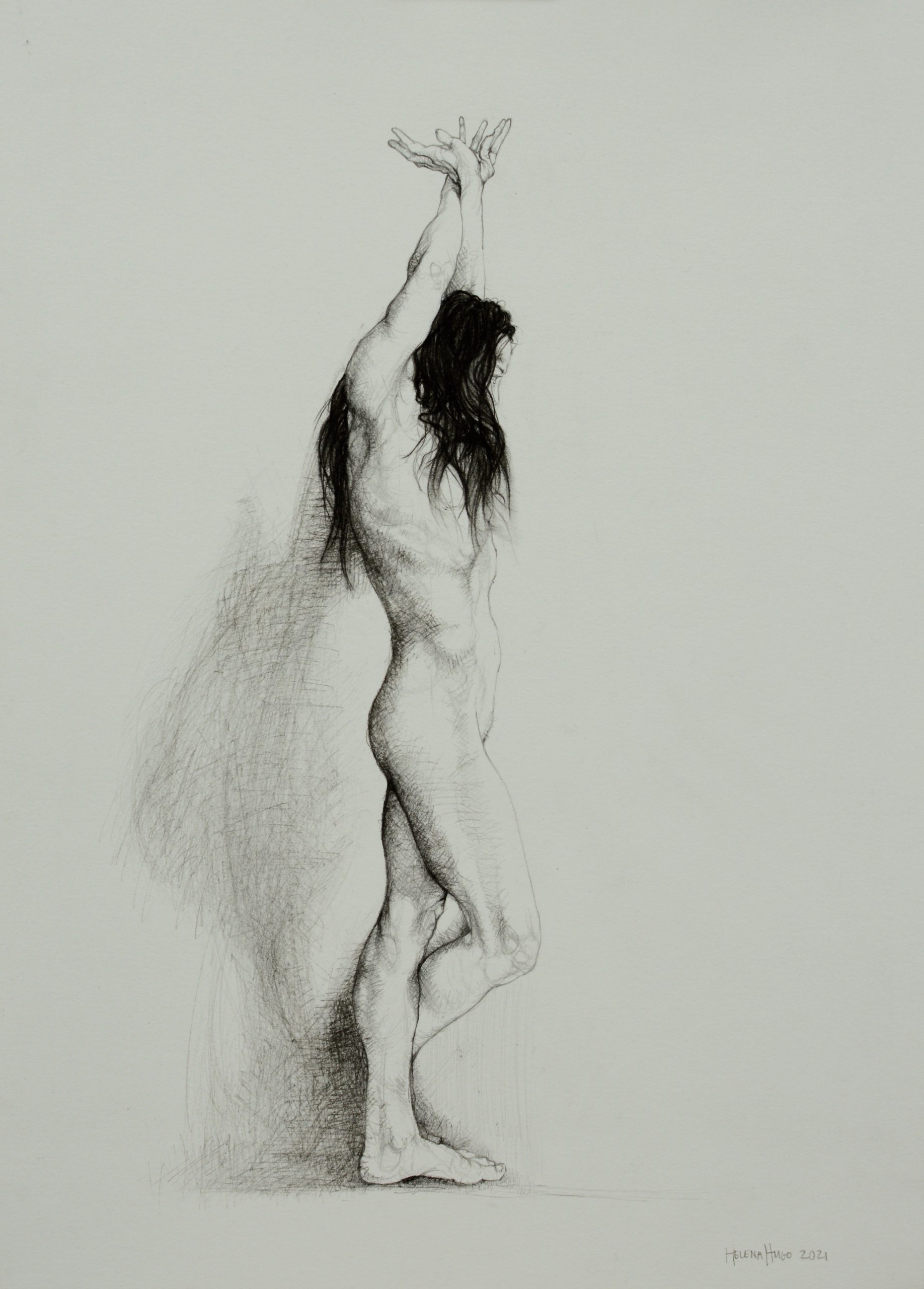 Pose as a Windswept Tree III, 42cm x 30cm, woodless charcoal on paper